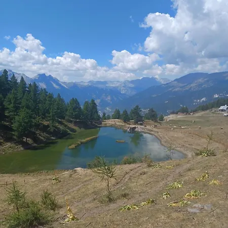 Jacqueline & Franco *