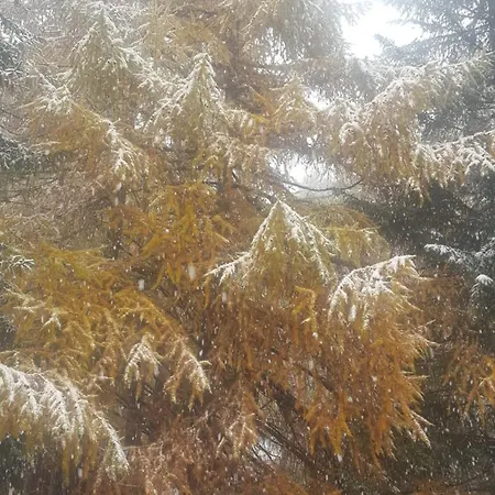 Jacqueline & Franco Appartamento *