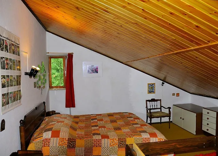 Jacqueline & Franco *